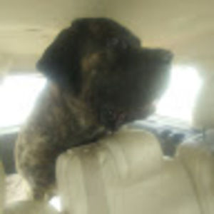 Meet your Posher, Caleigh